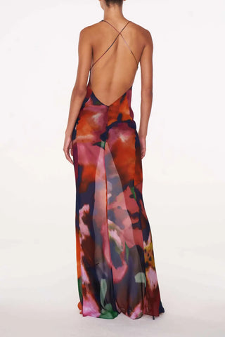 Lydia Sheer Maxi Dress